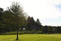 PRODEJ STAVEBNÍCH POZEMKÚ 2.265 M2, OBEC PRACEJOVICE, OKRES STRAKONICE - WWW.REALITYTRADE.CZ - E-MAIL: STRBACKA@REALITYTRADE.CZ - TEL:: 602 271 334
