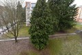 PRODEJ BYTU 3+1 S BALKONEM A VÝTAHEM, 61,5 M2, V PŮVODNÍM STAVU, STRAKONICE - WWW.REALITYTRADE.CZ - TEL:: 602 271 335 - E-MAIL: STRBACKA@REALITYTRADE.CZ