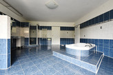 PRODEJ VELKÉHO DOMU O UŽITNÉ PLOŠE 657 M2, NA POZEMKU 1188 M2, PRACEJOVICE, OKRES STRAKONICE