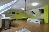 PRODEJ VELKÉHO DOMU O UŽITNÉ PLOŠE 657 M2, NA POZEMKU 3453 M2, PRACEJOVICE, VELKÁ SLEVA 2.000.000 KČ